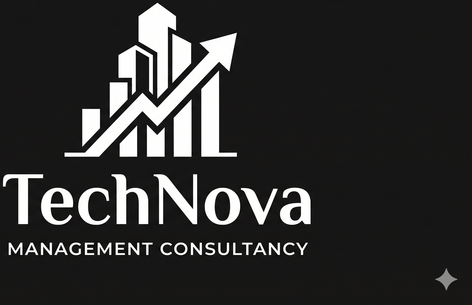 TechNova Management Consultancy